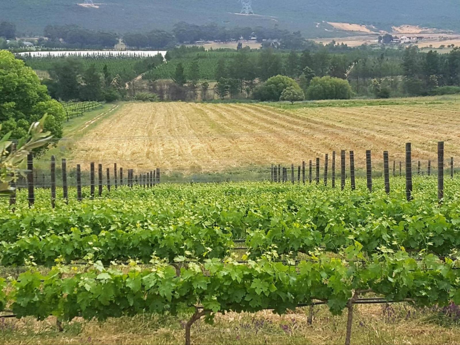 Lemberg Wine Estate Vila Tulbagh Exterior foto